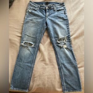 Silver Jeans Elyse Straight Jeans